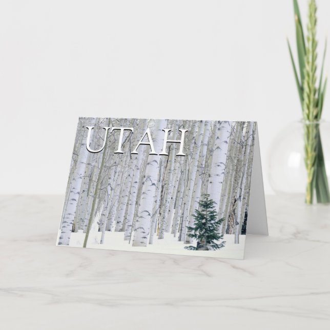 Tarjeta De Agradecimiento Bosque Nacional Manti-LaSal, Utah | Gracias (Anverso)