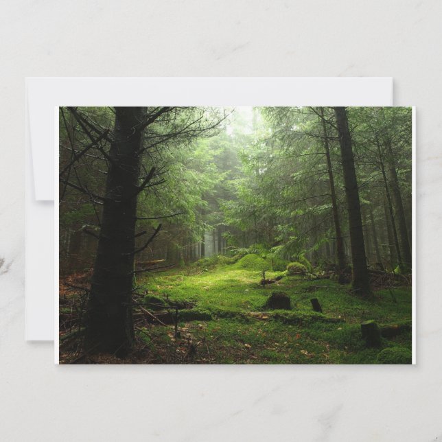 Tarjeta De Agradecimiento Bosques | Auvergne France (Anverso)