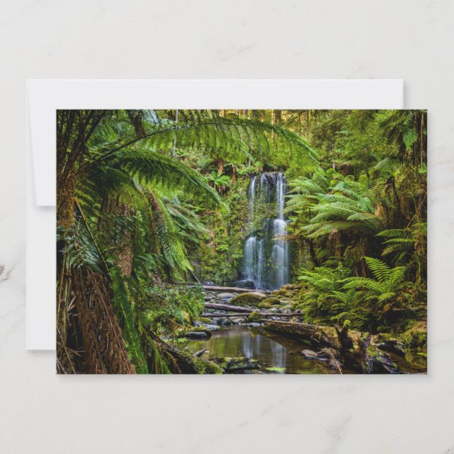 Tarjeta De Agradecimiento Bosques | Beauchamp Falls Australia (Anverso)