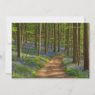 Tarjeta De Agradecimiento Bosques   Bosque de Bluebell en Bélgica