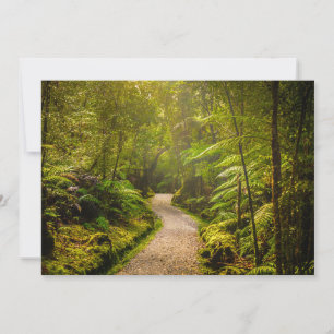 Tarjeta De Agradecimiento Bosques   Camino al bosque