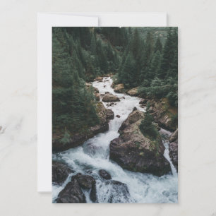 Tarjeta De Agradecimiento Bosques   Cantón de Grison Graubunden