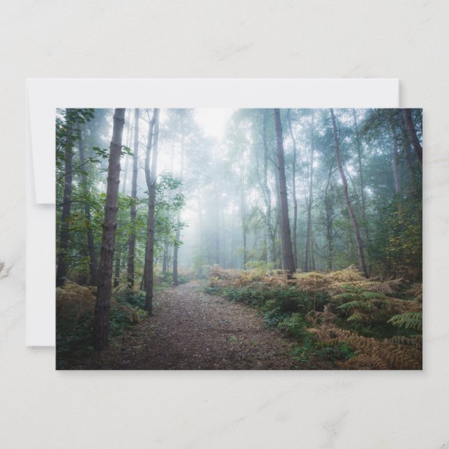 Tarjeta De Agradecimiento Bosques | Dark Foggy Woods Norfolk Reino Unido (Anverso)