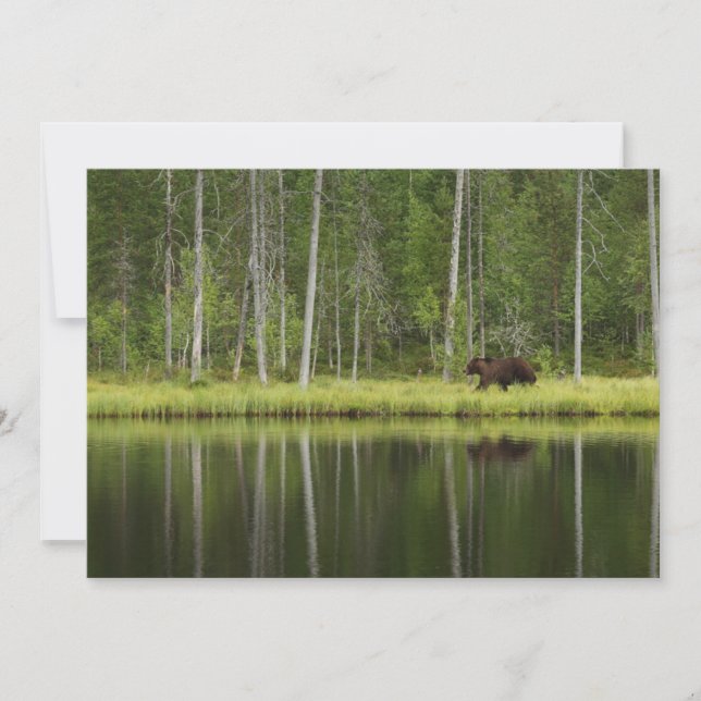 Tarjeta De Agradecimiento Bosques | Oso en la Selva Taiga Norte de Finlandia (Anverso)