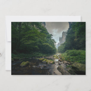 Tarjeta De Agradecimiento Bosques Parque forestal nacional Zhangjiajie