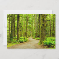 Bosques | Parque nacional olímpico