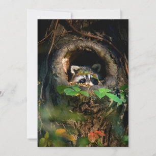 Tarjeta De Agradecimiento Bosques   Raccoon Peeking