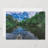 Bosques | Selva de selva peruana