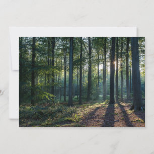 Tarjeta De Agradecimiento Bosques   Selva negra Alemania