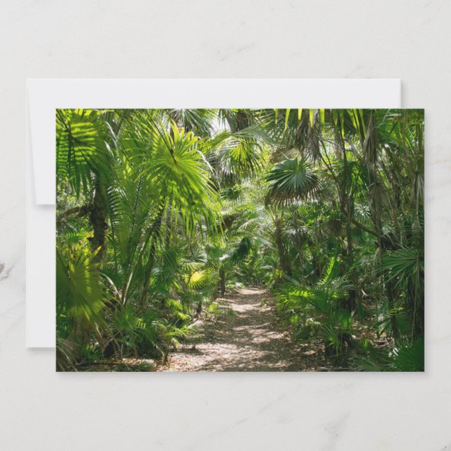 Tarjeta De Agradecimiento Bosques | Tropical Rainforest Tulum Mexico (Anverso)