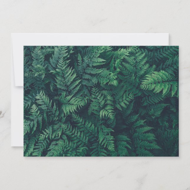 Tarjeta De Agradecimiento Bosques | Woodland Ferns (Anverso)
