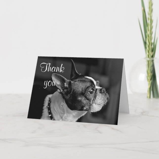 Tarjeta De Agradecimiento Boston terrier (Anverso)