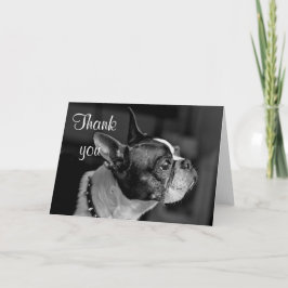 Tarjeta De Agradecimiento Boston terrier