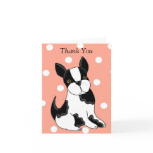 Boston Terrier Gracias