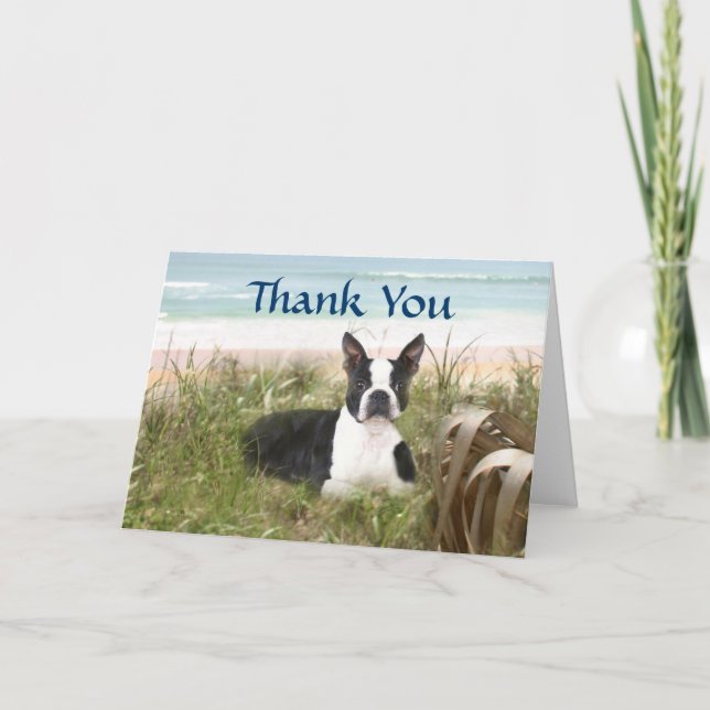 Tarjeta De Agradecimiento Boston Terrier Gracias Cartel Beachgrass (Anverso)