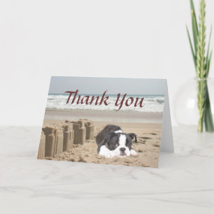 Tarjeta De Agradecimiento Boston Terrier Gracias Castillos De Arena