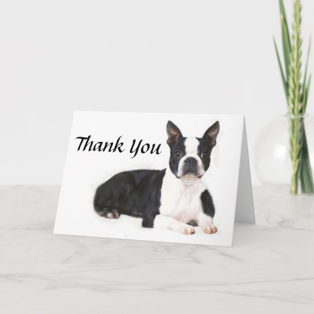 Tarjeta De Agradecimiento Boston Terrier Thank You Card (Anverso)