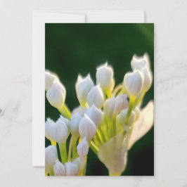 Tarjeta De Agradecimiento Bouquet Chives Deux