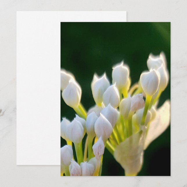 Tarjeta De Agradecimiento Bouquet Chives Deux (Anverso / Reverso)