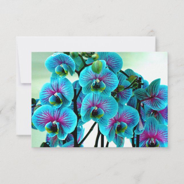 Tarjeta De Agradecimiento Bouquet de flores de orquídea azul (Anverso)