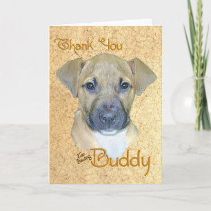 Tarjeta De Agradecimiento Buddy Gracias Card
