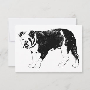 Tarjeta De Agradecimiento Bulldog de Gratitud, Expresión Amable