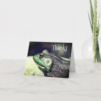 Tarjeta De Agradecimiento Bullfrog Thoughts Nature (Pensamientos de rana de