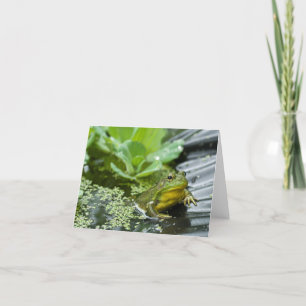 Tarjeta De Agradecimiento Bully the Bullfrog