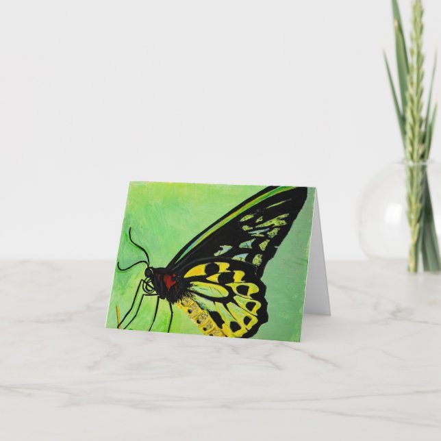 Tarjeta De Agradecimiento Butterfly All Occasion Card (Anverso)