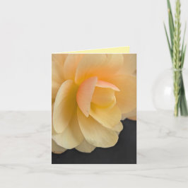Tarjeta De Agradecimiento Buttery Begonia Note Card