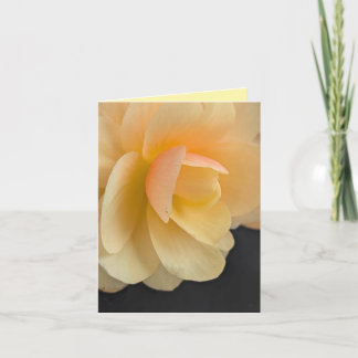 Tarjeta De Agradecimiento Buttery Begonia Note Card