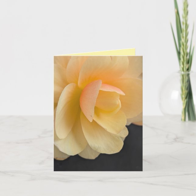 Tarjeta De Agradecimiento Buttery Begonia Note Card (Anverso)