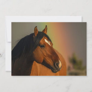 Tarjeta De Agradecimiento Caballo salvaje, Luz dorada y Arcoíris