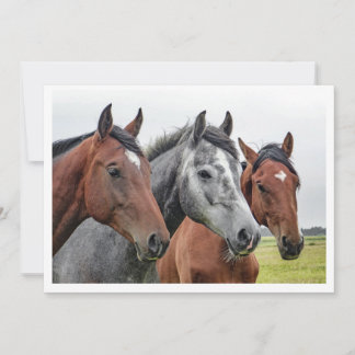 Tarjeta De Agradecimiento Caballos