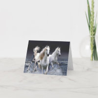 Caballos corriendo lanzando almohada