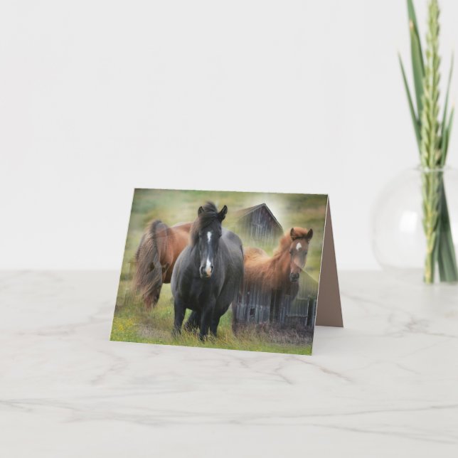 Tarjeta De Agradecimiento Caballos hermosos y granero rústico (Anverso)