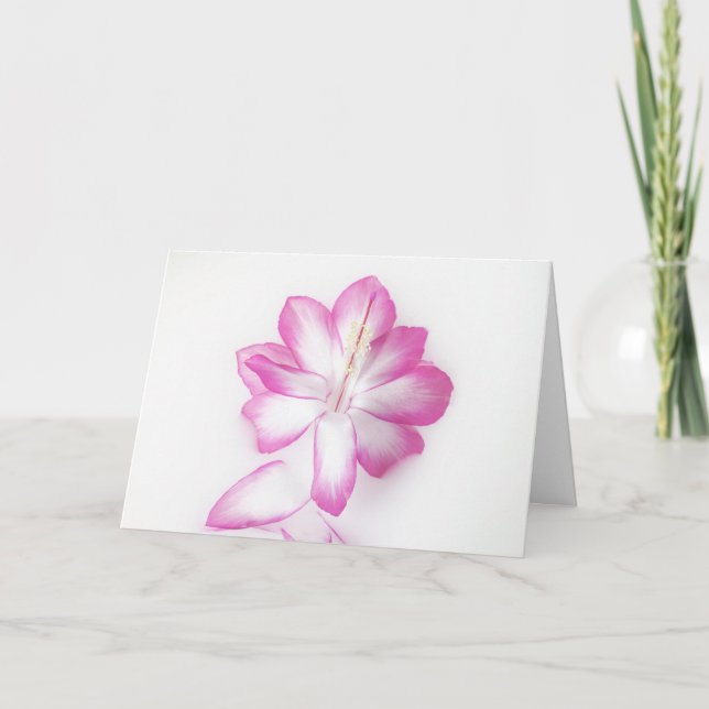 Tarjeta De Agradecimiento Cactus Bloom (Anverso)