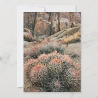 Cactus de Barril en California