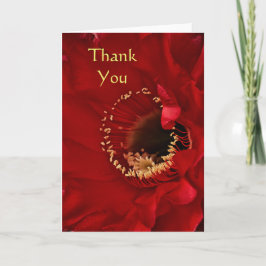 Tarjeta De Agradecimiento Cactus de Firelight Gracias