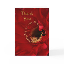 Cactus de Firelight Gracias