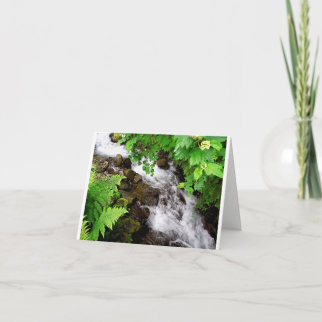 Tarjeta De Agradecimiento Cala de Oregon (Anverso)