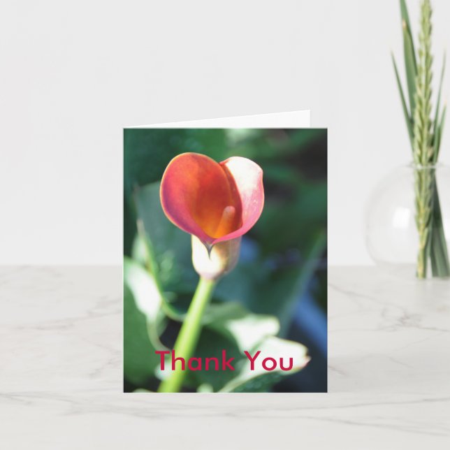 Tarjeta De Agradecimiento Cala Lilly, gracias (Anverso)