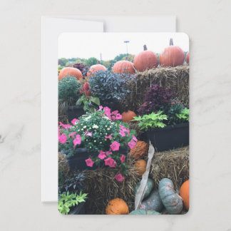 Tarjeta De Agradecimiento Calabazas Fall Halloween