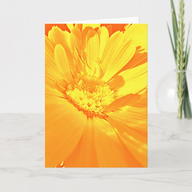Tarjeta De Agradecimiento 'Calendula' - (Anverso)