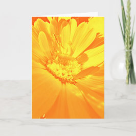Tarjeta De Agradecimiento 'Calendula' -