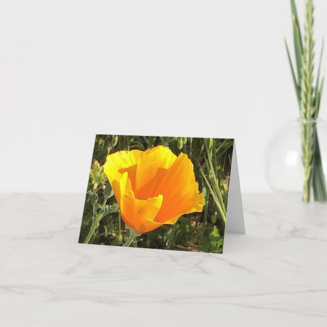 Tarjeta De Agradecimiento California Golden Poppy - 1 (Anverso)