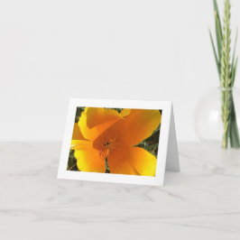 Tarjeta De Agradecimiento California Golden Poppy - 3