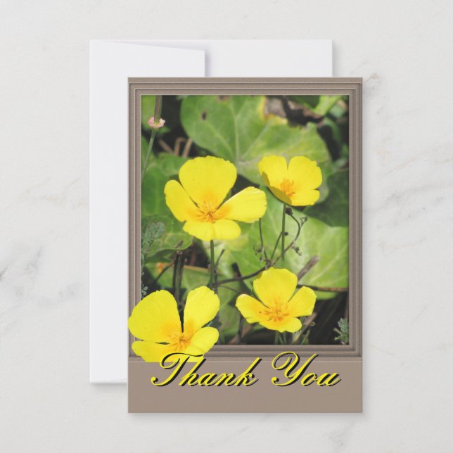Tarjeta de agradecimiento California Poppy (Anverso)