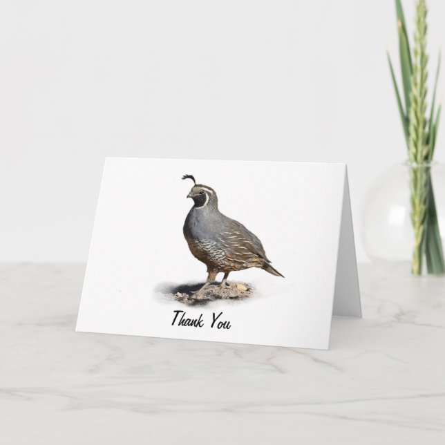 TARJETA DE AGRADECIMIENTO CALIFORNIA QUAIL - GRACIAS (Anverso)