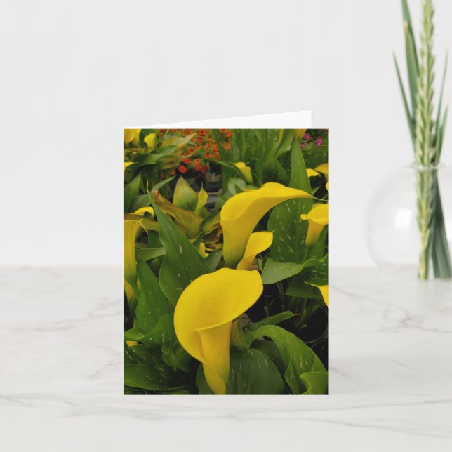 Tarjeta De Agradecimiento Calla lily (Anverso)